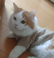 프로필 사진