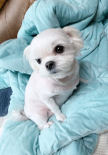 프로필 사진