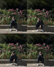 프로필 사진