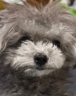 프로필 사진