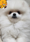 프로필 사진