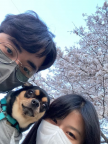 https://thecheat.co.kr/fs_sbl/member/2022/12/26/c339e657916b41fedcdf6ff6f38232c6.png