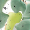 프로필 사진