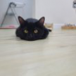 프로필 사진