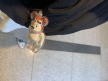 프로필 사진