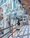 프로필 사진
