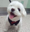 프로필 사진