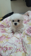 프로필 사진