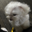 프로필 사진
