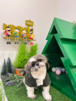 프로필 사진