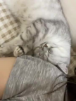 프로필 사진