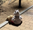 프로필 사진