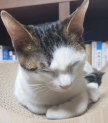 프로필 사진