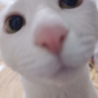 프로필 사진