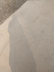 프로필 사진