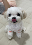 프로필 사진