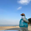 프로필 사진