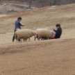 프로필 사진