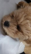 프로필 사진
