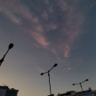 프로필 사진