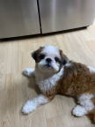 프로필 사진