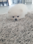 https://thecheat.co.kr/fs_sbl/member/2023/04/14/da3ca3a4265e59c81f12dd83304e3250.png