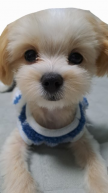 프로필 사진
