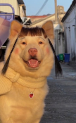 프로필 사진