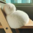 프로필 사진