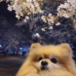 프로필 사진