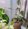 프로필 사진