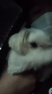프로필 사진