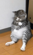 프로필 사진