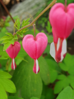 프로필 사진