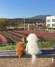 프로필 사진