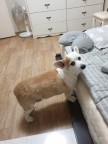 프로필 사진