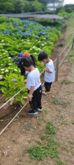 프로필 사진