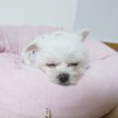 프로필 사진