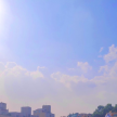 프로필 사진