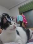 프로필 사진