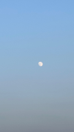 프로필 사진