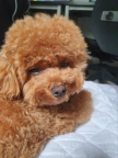 프로필 사진