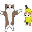 프로필 사진