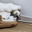 프로필 사진
