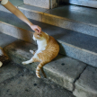 프로필 사진