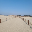 프로필 사진