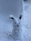 프로필 사진