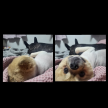 프로필 사진