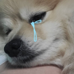 프로필 사진