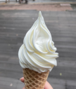 프로필 사진
